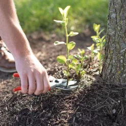 Traditional Bypass Pruners By A.M. Leonard, 1in Cutting Capacity, Lifetime Warranty 17 Traditional Bypass Pruners By A.M. Leonard, 1in Cutting Capacity, Lifetime Warranty -Garden-Tools 1286 8
