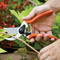 Traditional Bypass Pruners By A.M. Leonard, 1in Cutting Capacity, Lifetime Warranty 15 Traditional Bypass Pruners By A.M. Leonard, 1in Cutting Capacity, Lifetime Warranty -Garden-Tools 1286 9