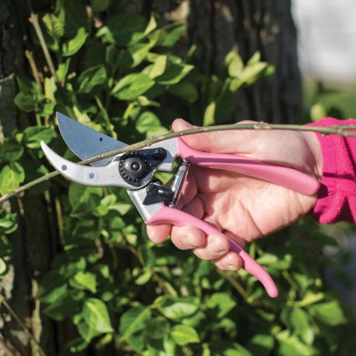 Leonard Pink Traditional Bypass Pruner With Sheath And Belt 4 Leonard Pink Traditional Bypass Pruner With Sheath And Belt - Image 4