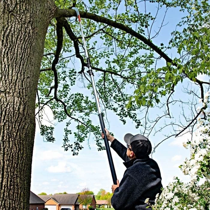 Leonard 4-Section Aluminum Telescopic Pole Saw With 16-Inch Blade 4 Leonard 4-Section Aluminum Telescopic Pole Saw With 16-Inch Blade - Image 4