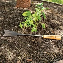 Asparagus Weeder Steel Knife -Garden-Tools 19ak live2 7.20.22