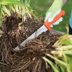 Leonard Wavy Edge Stainless Steel Cut-All Knife, 8-Inch Blade -Garden-Tools 4041t 6