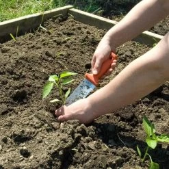 Classic Stainless Steel Soil Knife By A.M. Leonard, 6in Dual Edged Blade, Lifetime Warranty 10 Classic Stainless Steel Soil Knife By A.M. Leonard, 6in Dual Edged Blade, Lifetime Warranty -Garden-Tools 4750 4