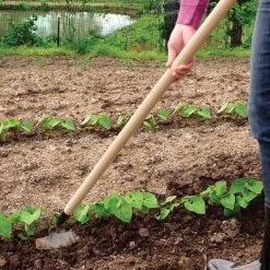 PROHOE 5.5-inch Garden Hoe -Garden-Tools 575g 4