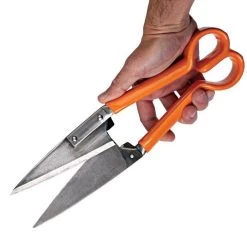 Leonard Sheep Shear With Vinyl-Coated Grips 6 Leonard Sheep Shear With Vinyl-Coated Grips -Garden-Tools 70p 2