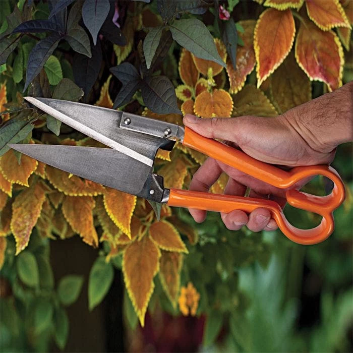 Leonard Sheep Shear With Vinyl-Coated Grips 2 Leonard Sheep Shear With Vinyl-Coated Grips - Image 2