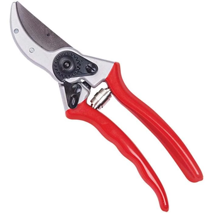 Corona BP 6250 Heavy Duty Hand Pruners, 1-inch Cutting Capacity 1 Corona BP 6250 Heavy Duty Hand Pruners, 1-inch Cutting Capacity