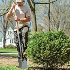 Leonard Classic Full-Strap Spade, Straight Handle -Garden-Tools a13ml 3