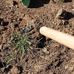 Leonard Cape Cod Weeder With 60" Wood Handle -Garden-Tools acw60 3