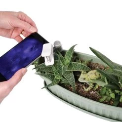 Active Eye Universal Mobile Phone Microscope -Garden-Tools aem60c 5