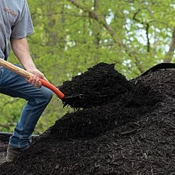 Leonard 10-Tine Forged Steel Scoop Fork With 48-Inch Straight Handle -Garden-Tools amf10l 5 1