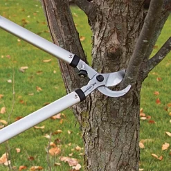 Leonard Forged Steel Bypass Loppers, 1-3/4-Inch Cutting Capacity -Garden-Tools aml32 5