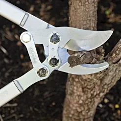 Leonard Compound Action Bypass Loppers, 2-1/8-Inch Cutting Capacity -Garden-Tools c850 2