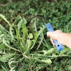 CobraHead Weeder And Cultivator, 13-inch Handle -Garden-Tools chead 3