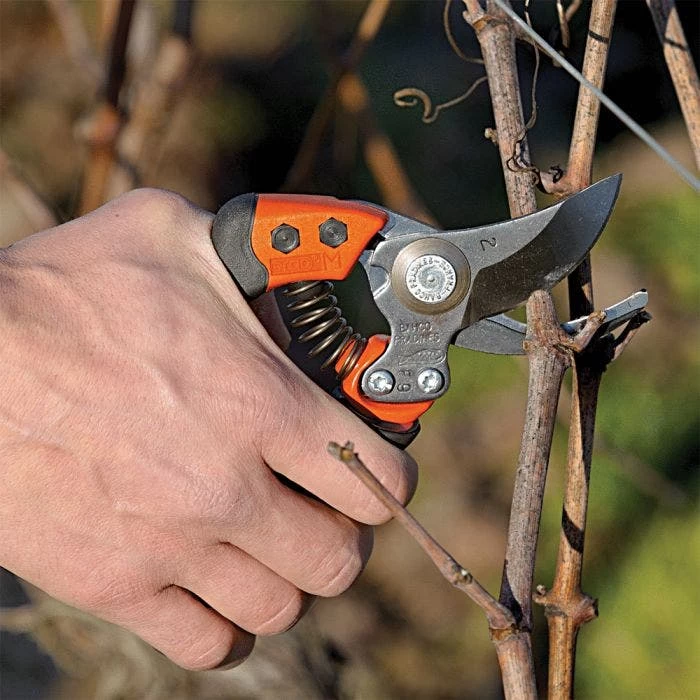 Bahco Professional Ergonomic Pruners With Revolving Handle, 0.75-inch Cutting Capacity 5 Bahco Professional Ergonomic Pruners With Revolving Handle, 0.75-inch Cutting Capacity - Image 5