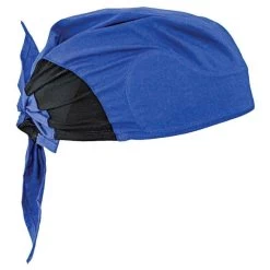 Radians Arctic Radwear® Head Shade, Blue