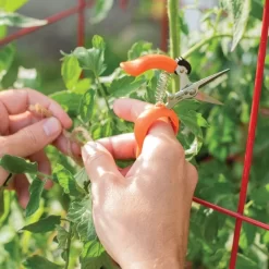 Hands-Free Ring Pruner -Garden-Tools rp2 3