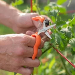 Hands-Free Ring Pruner -Garden-Tools rp2 4
