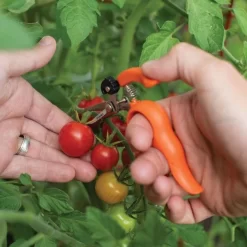 Hands-Free Ring Pruner -Garden-Tools rp2 6