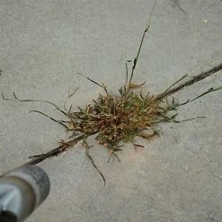 Red Dragon; 400,000 BTU Torch Kit 11 Red Dragon; 400,000 BTU Torch Kit -Garden-Tools t230 6