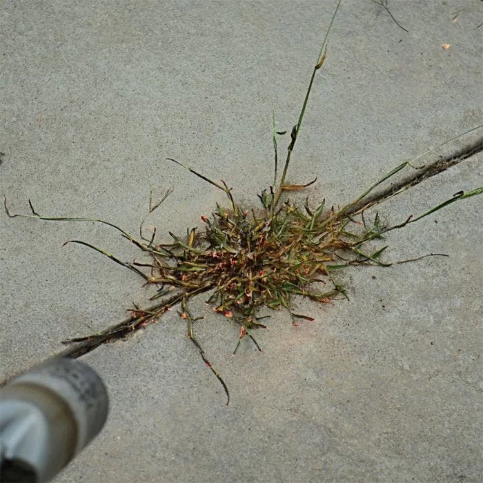 Red Dragon; 400,000 BTU Torch Kit 4 Red Dragon; 400,000 BTU Torch Kit - Image 4