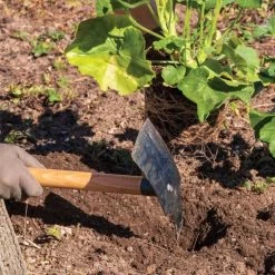 Hoedag Original Planter Mattock With 54" Handle -Garden-Tools tn54 live2