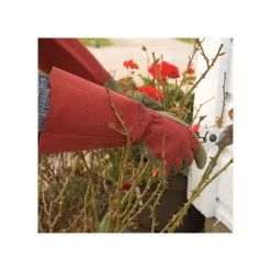 West County Thorn-Proof Unisex Rose Suede Gloves, Ruby Red With Olive Palms -Garden-Tools vp 054 4
