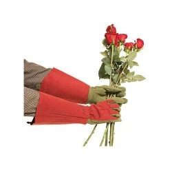 West County Thorn-Proof Unisex Rose Suede Gloves, Ruby Red With Olive Palms -Garden-Tools vp 054 9