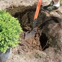 Leonard Caprock Irrigation Shovels 16 Leonard Caprock Irrigation Shovels -Garden-Tools vp capp 5