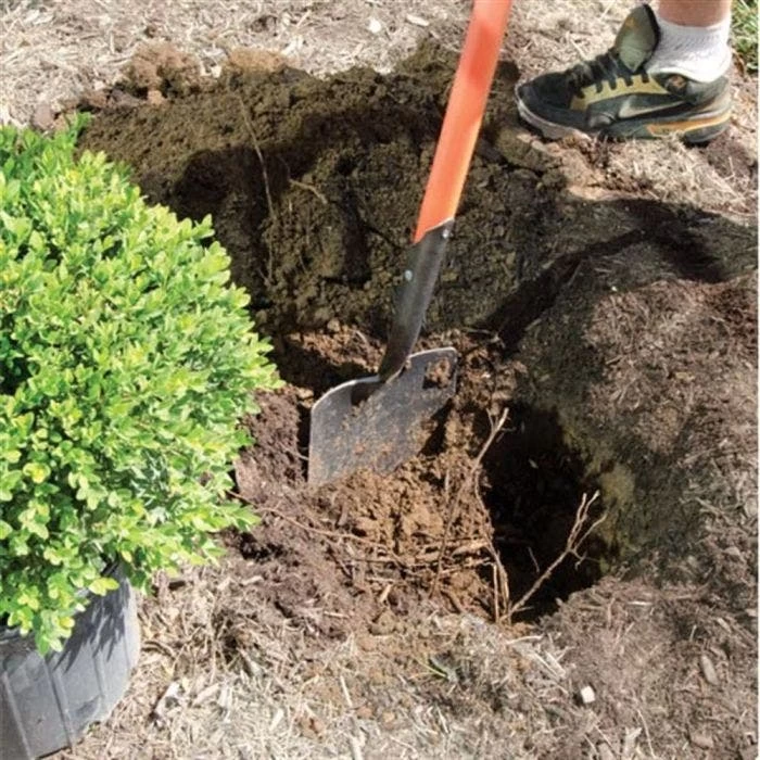 Leonard Caprock Irrigation Shovels 6 Leonard Caprock Irrigation Shovels - Image 6