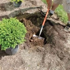 Leonard Caprock Irrigation Shovels 17 Leonard Caprock Irrigation Shovels -Garden-Tools vp capp 6