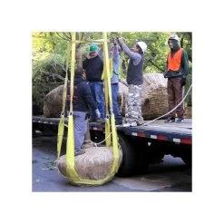 Tree Tote Plant Lift Sling -Garden-Tools vp ttls 2