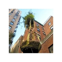 Tree Tote Plant Lift Sling -Garden-Tools vp ttls 3